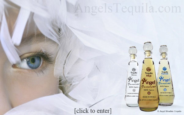 Angel Tequila Website
